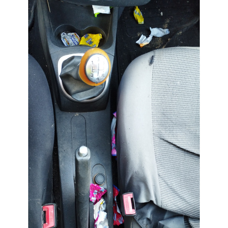 Custode arriere gauche (porte) RENAULT CLIO 3 Photo n°20
