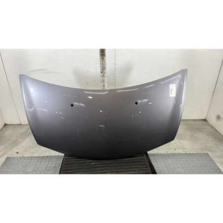 Capot RENAULT CLIO 3 Photo n°1