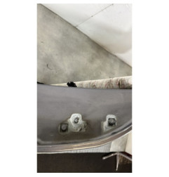 Porte arriere gauche RENAULT CLIO 3