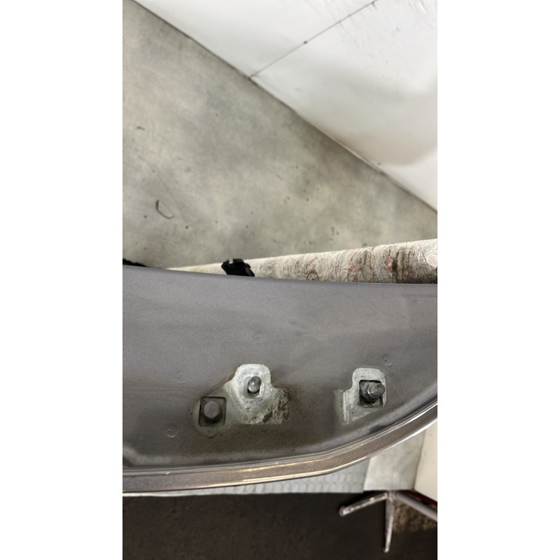 Porte arriere gauche RENAULT CLIO 3 Photo n°4