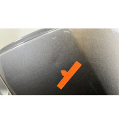 Porte arriere gauche RENAULT CLIO 3