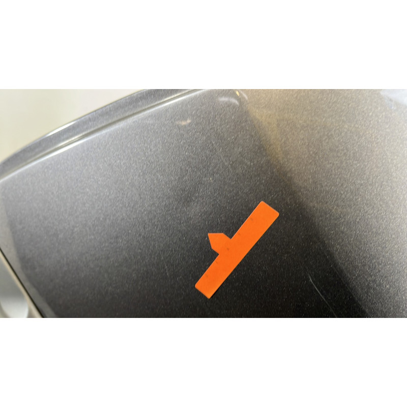 Porte arriere gauche RENAULT CLIO 3 Photo n°7