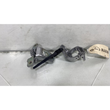 Charniere de porte avant gauche RENAULT CLIO 5