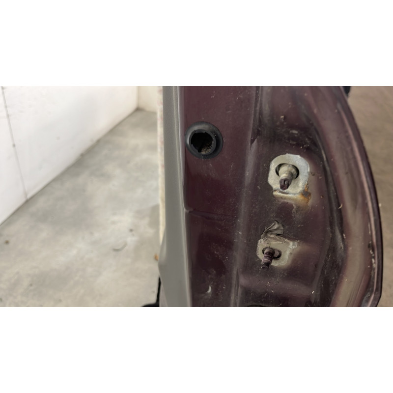 Porte avant gauche RENAULT SCENIC 2 Photo n°5