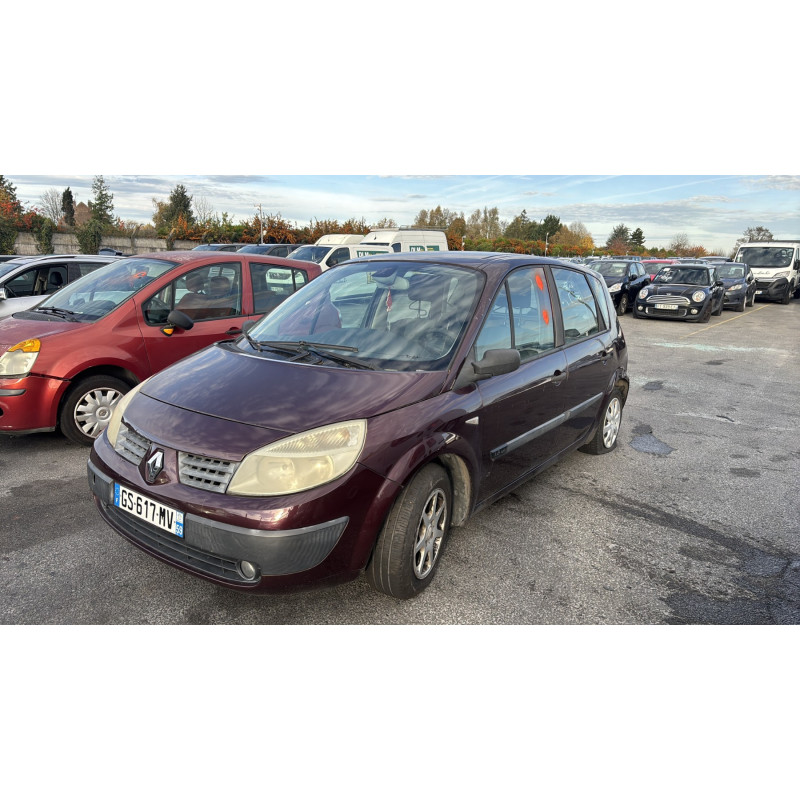 Porte avant gauche RENAULT SCENIC 2 Photo n°9