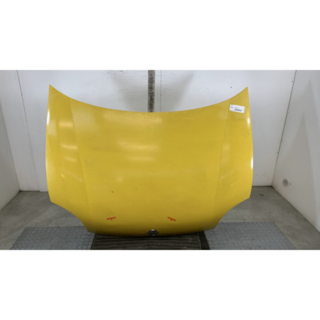 Capot RENAULT KANGOO 1 Photo n°1