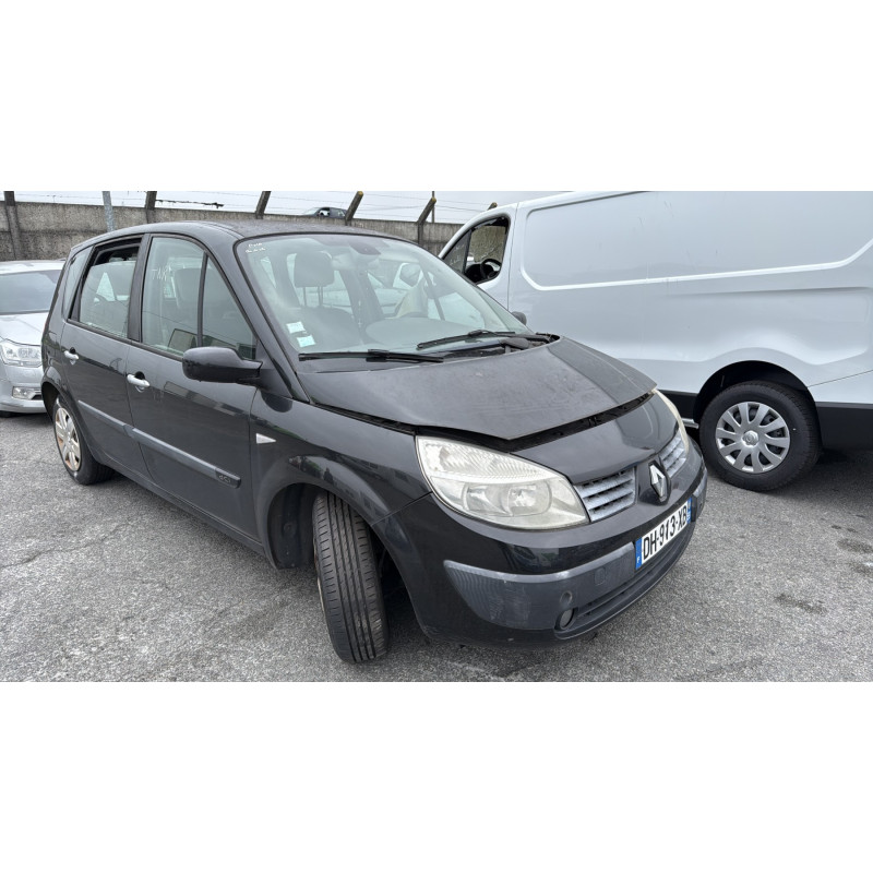 Custode arriere gauche RENAULT SCENIC 2 Photo n°6