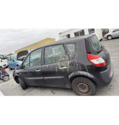 Custode arriere gauche RENAULT SCENIC 2