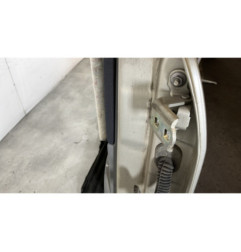 Porte arriere gauche RENAULT SCENIC 2
