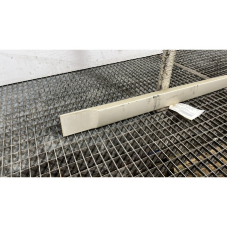 Baguette de porte arriere gauche RENAULT SCENIC 2