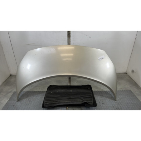 Capot RENAULT SCENIC 2 Photo n°1