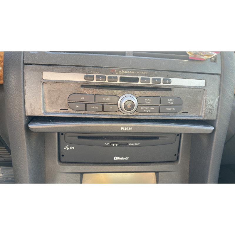 Custode avant gauche (porte) RENAULT VEL SATIS Photo n°5