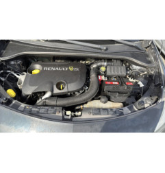 Custode arriere gauche (porte) RENAULT CLIO 3