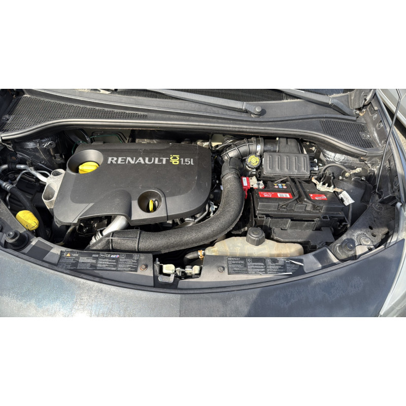 Custode arriere gauche (porte) RENAULT CLIO 3 Photo n°17