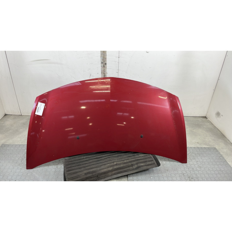 Capot RENAULT CLIO 3 Photo n°1