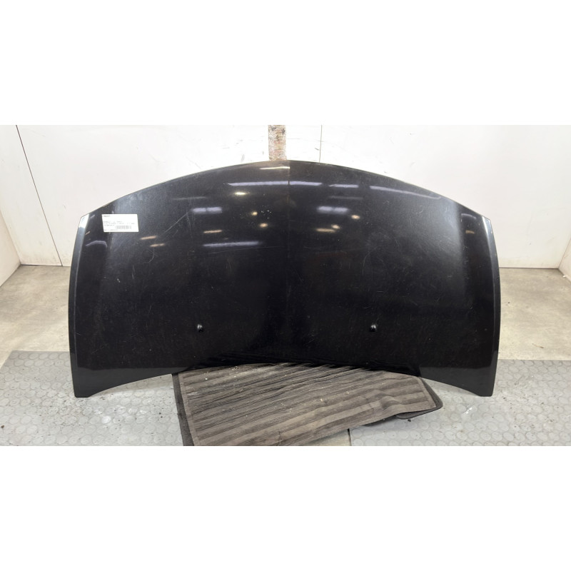 Capot RENAULT CLIO 3 Photo n°1