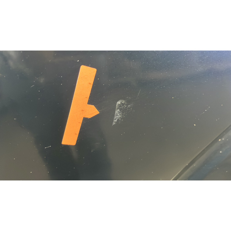 Porte arriere gauche NISSAN PATHFINDER 2 Photo n°2