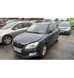 Neiman SKODA FABIA 2