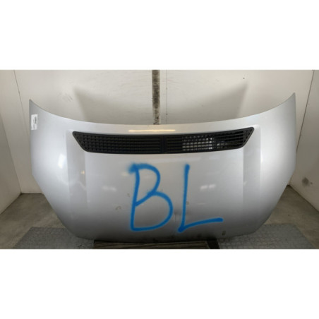 Capot VOLKSWAGEN CRAFTER 1 Photo n°1
