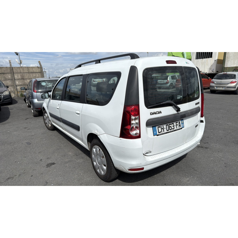 Porte arriere gauche DACIA LOGAN MCV 1 Photo n°13