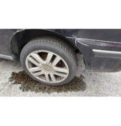 Aile avant droit VOLKSWAGEN SHARAN 1