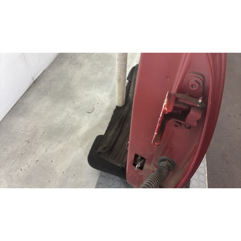 Porte arriere gauche DACIA SANDERO 2 Photo n°3