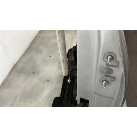 Porte arriere gauche RENAULT CLIO 4