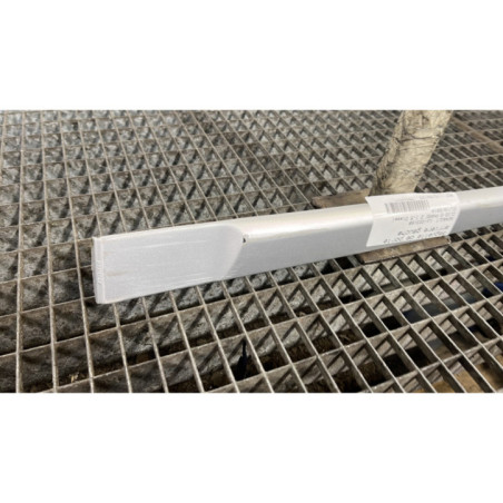 Baguette de porte arriere gauche RENAULT CLIO 3
