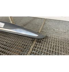Baguette de porte arriere gauche  RENAULT CLIO 4