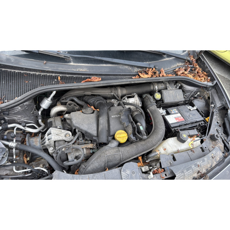 Custode arriere gauche (porte) RENAULT CLIO 3 Photo n°14