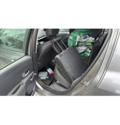 Custode arriere gauche (porte) RENAULT CLIO 3
