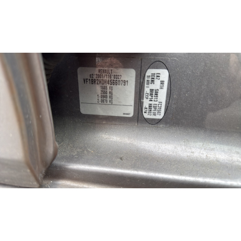 Custode arriere gauche (porte) RENAULT CLIO 3 Photo n°19