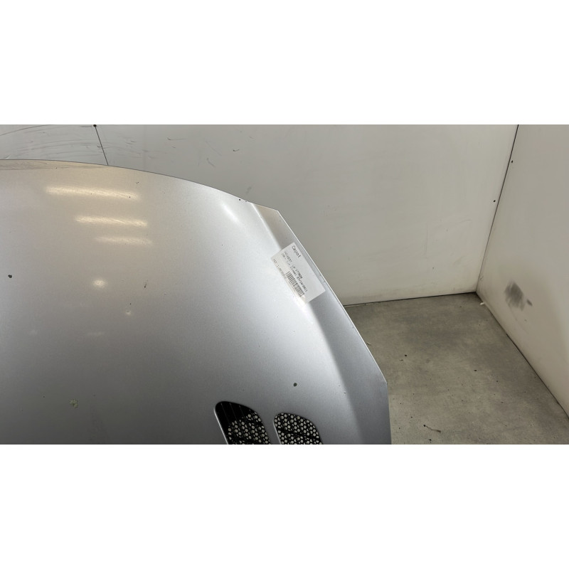 Capot PEUGEOT 206+ Photo n°3