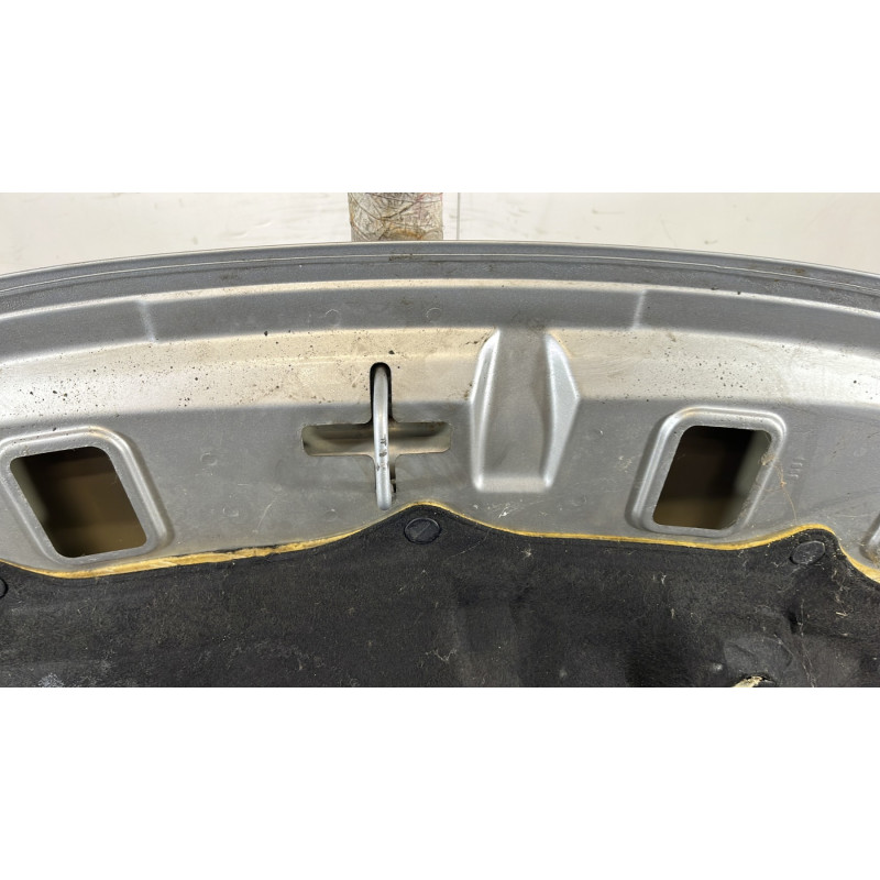 Capot PEUGEOT 206+ Photo n°7