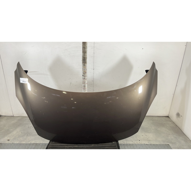Capot RENAULT GRAND SCENIC 3 Photo n°1