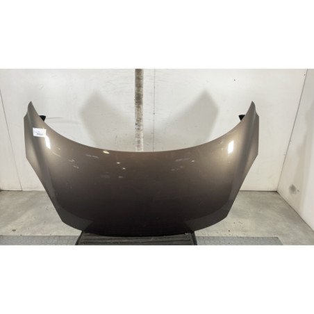 Capot RENAULT GRAND SCENIC 3 Photo n°1