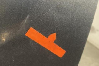 Porte arriere gauche CITROEN C3 PICASSO