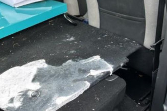 Porte arriere gauche CITROEN C3 PICASSO