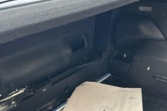 Porte arriere gauche CITROEN C3 PICASSO