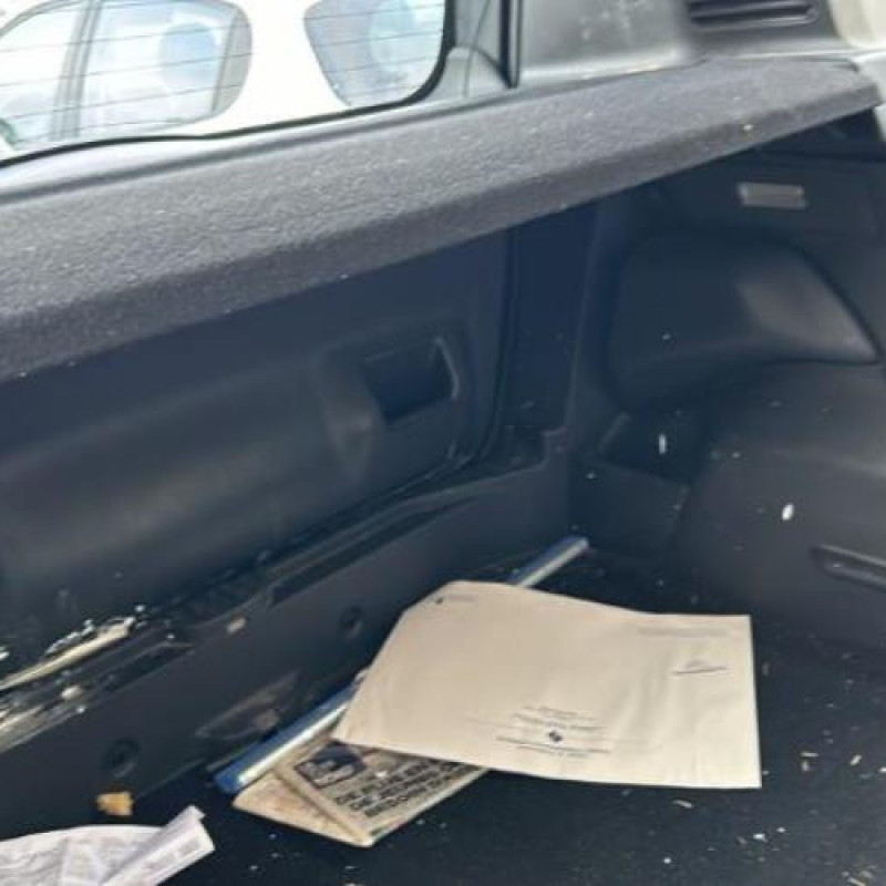 Porte arriere gauche CITROEN C3 PICASSO Photo n°18