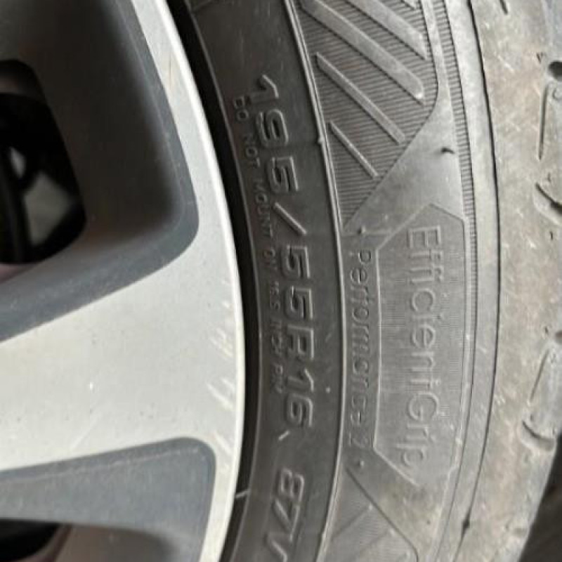 Porte arriere gauche CITROEN C3 PICASSO Photo n°19