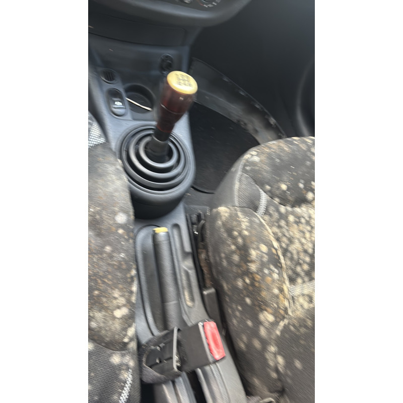 Custode arriere droit CITROEN C2 Photo n°19