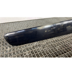 Baguette de porte avant gauche TOYOTA RAV4 2