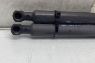 Verin de coffre RENAULT CLIO 3