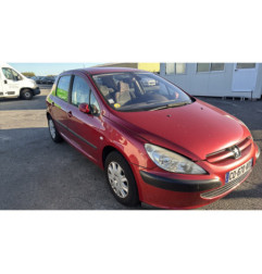 Porte arriere gauche PEUGEOT 307