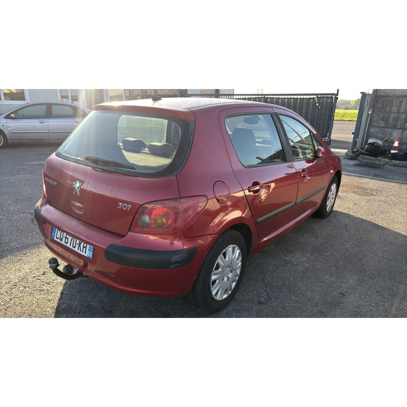 Porte arriere gauche PEUGEOT 307 Photo n°9