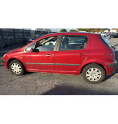 Porte arriere gauche PEUGEOT 307
