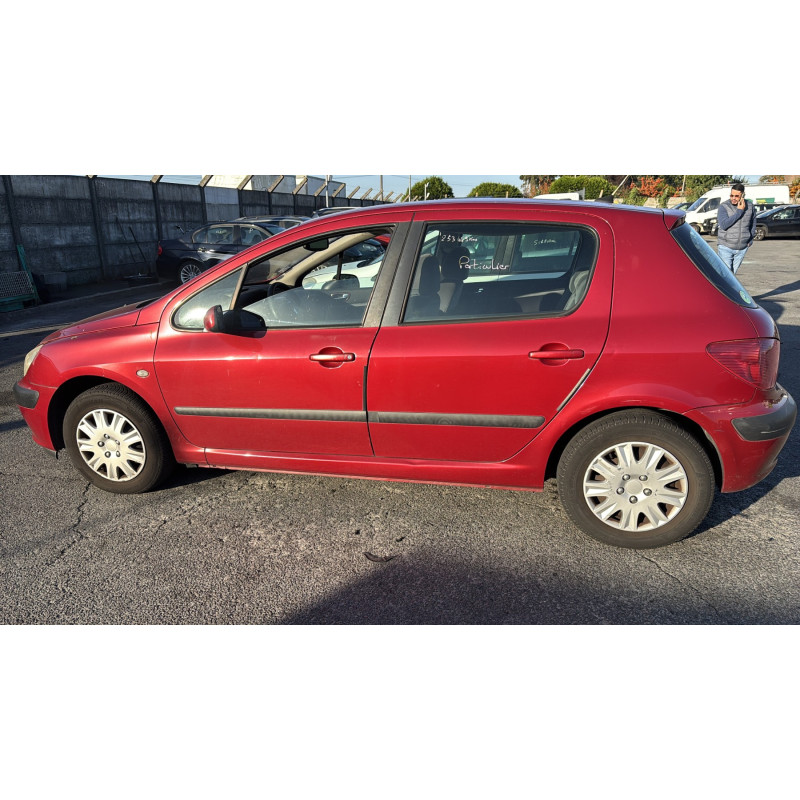 Porte arriere gauche PEUGEOT 307 Photo n°12