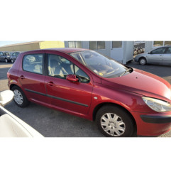 Porte arriere gauche PEUGEOT 307