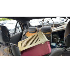 Vitre avant gauche RENAULT LAGUNA 2